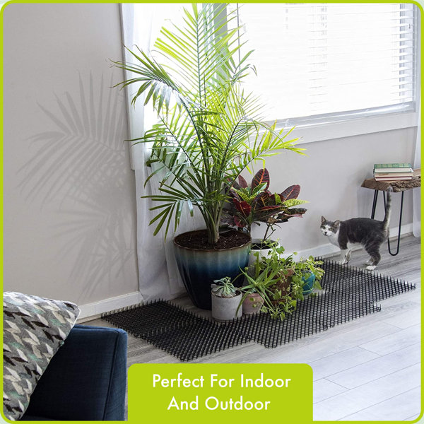 Tucker Murphy Pet™ Chaunta Dog Scat Mat & Reviews Wayfair